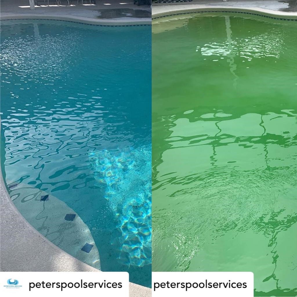 before and after pool maintenance