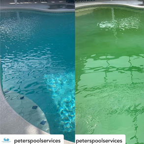 before and after pool maintenance