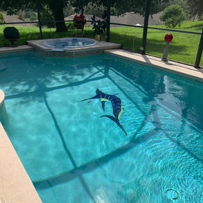 pool serviced by peters pool services